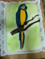 /album/galeria-de-fotos/guacamayo-jpg1/